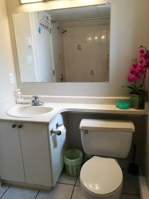 Cozy Suite 溫哥華 外观 照片